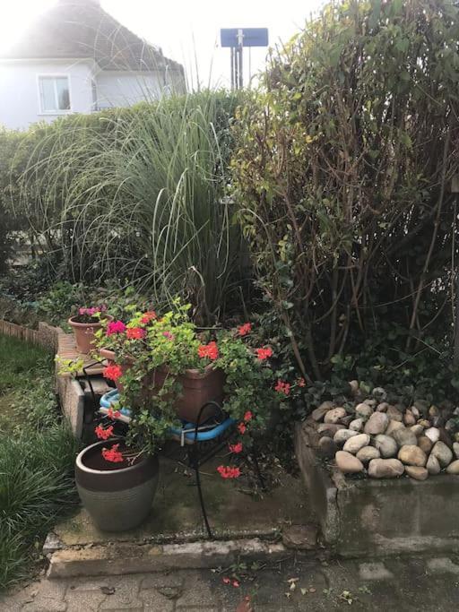 Appartement A La Decouverte De Strasbourg Bischheim Dış mekan fotoğraf